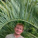 ���� ��������, ���������� - ��������� 10 ������� 2017 � ������ ���� ����������