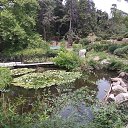 ���� ����, ����, 55 ��� - ��������� 2 ���� 2018 � ������ ���� ����������