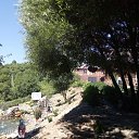  ,  -  8  2018     , .