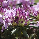  , , 68  -  23  2018    2018