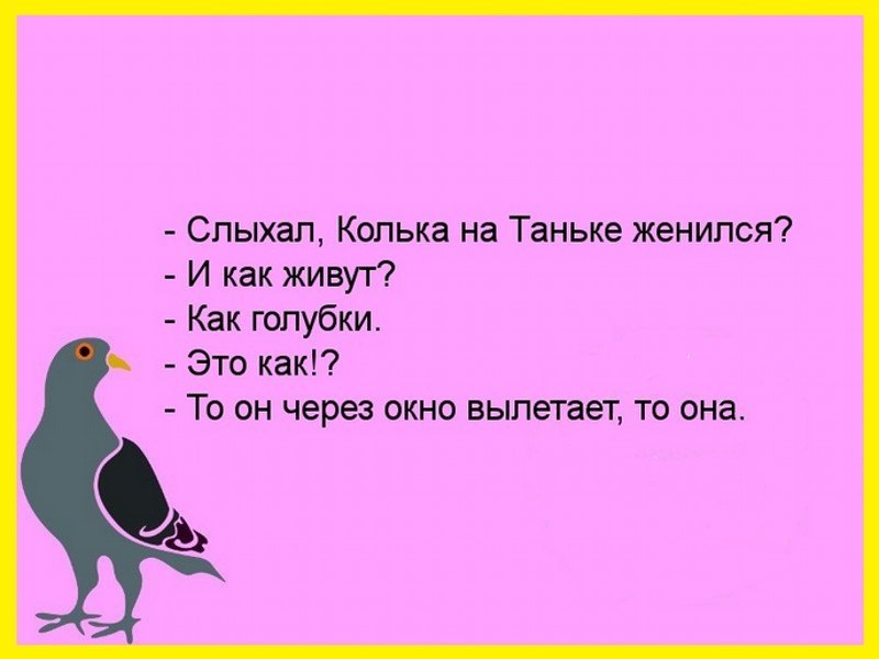 ☆ ☆ - 22  2017  03:54