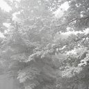 ���� ���, �����������, 51 ��� - ��������� 25 ����� 2018 � ������ ���� ����������