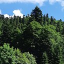 ���� ������, ���������, 57 ��� - ��������� 1 ���� 2018 � ������ ��������� 2018�