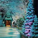  Argiopa,  -  31  2018   