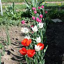 ���� Vassa, ���� - ��������� 11 ��� 2018 � ������ ������ ��������