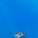 ���� ����, ����������, 47 ��� - ��������� 31 ������ 2018 � ������ ������ ��������