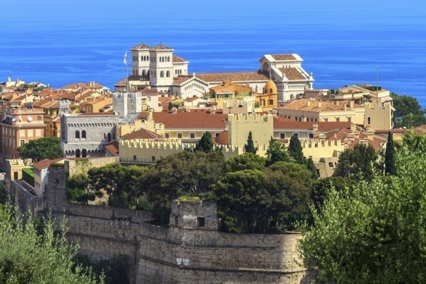 �����-�����, ������ - 6