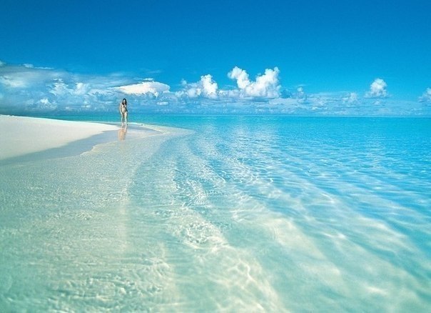   . The beach in the Maldives.