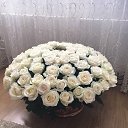 ���� �����, ������ - ��������� 8 ������� 2017 � ������ ���� ����������