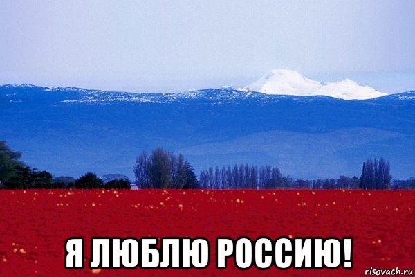   - 14  2018  02:46
