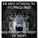 ���� ��������, ��������, 42 ���� - ��������� 7 ������� 2017 � ������ ���� ����������