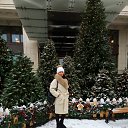 ���� ������, ������, 36 ��� - ��������� 21 ������ 2018 � ������ ���� ����������