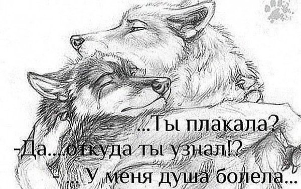 ������� - 7 ���� 2018 � 13:06