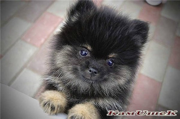 ��� ��� ���...!!! #�������� #���u��� #������