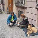  , -, 39  -  15  2018   STRASBOURG (FRANCE)