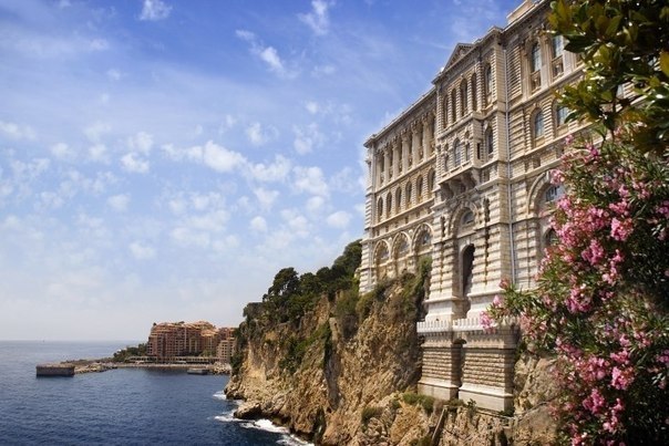 �����-�����, ������ - 3