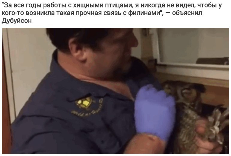    ,   ,     - 3