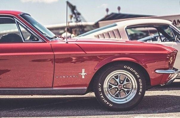 Mustangs - 3