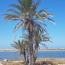 ���� Agor, ������-��-���� - ��������� 27 ���� 2018