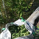 ���� �������, ��������, 58 ��� - ��������� 24 ���� 2018 � ������ ������ ��������