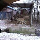 ���� �������, �����-���������, 58 ��� - ��������� 9 ������ 2018 � ������ ���� ����������