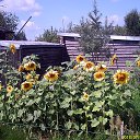 ���� ������, �����-���������, 67 ��� - ��������� 6 ����� 2018 � ������ ���� ����������