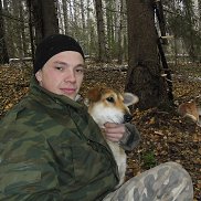 , 34 , 