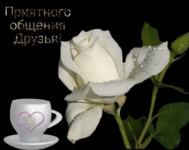   , ,   .    ,   ,   ...