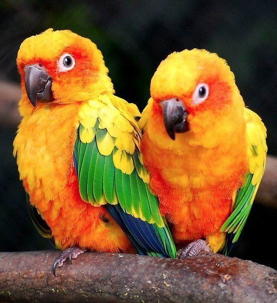 ��� - 19 ������ 2018 � 20:39