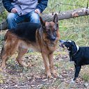  , , 60  -  27  2018     Ecce Homo ()