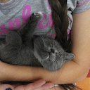  Madlen,  -  25  2018    