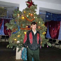 ���� �����, �������, 49 ���