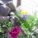 ���� Valentina, ��������������, 60 ��� - ��������� 22 ������ 2018 � ������ ������ ��������