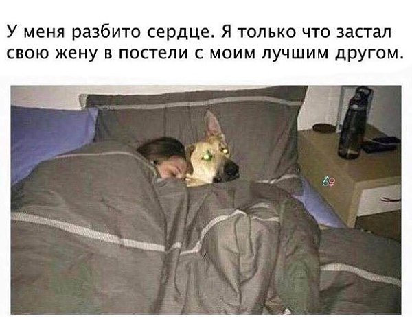 , ,  - 14  2018  03:55