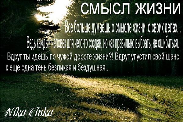 NikaTinka - 7  2018  20:53