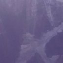 ���� ��������, �����-���������, 45 ��� - ��������� 16 ������ 2018 � ������ ���� ����������