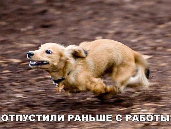 ***Victoria Viktorovna*** - 20  2018  14:51