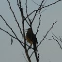 ���� ������, ������-��-����, 46 ��� - ��������� 9 ������ 2018 � ������ ������ ��������