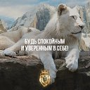 ���� �����, ���������, 38 ��� - ��������� 11 ���� 2018 � ������ ���� ����������