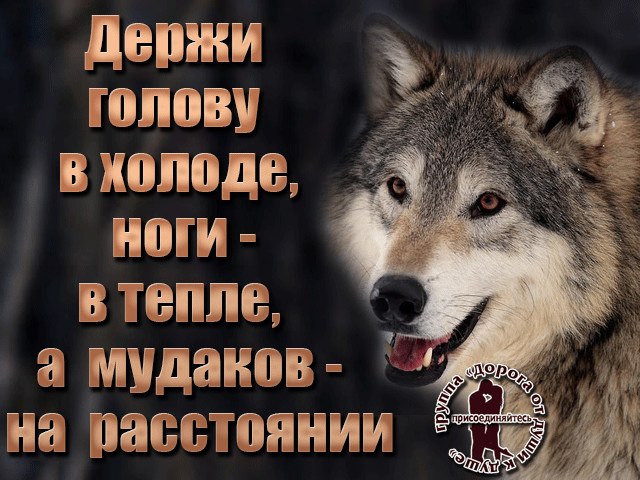 **- - 23  2018  23:29