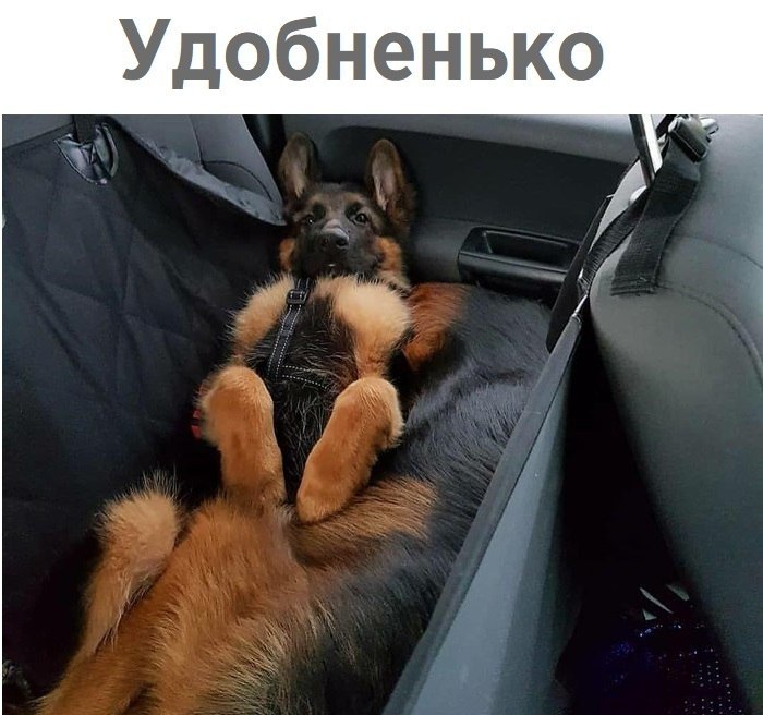   - 29  2018  04:01