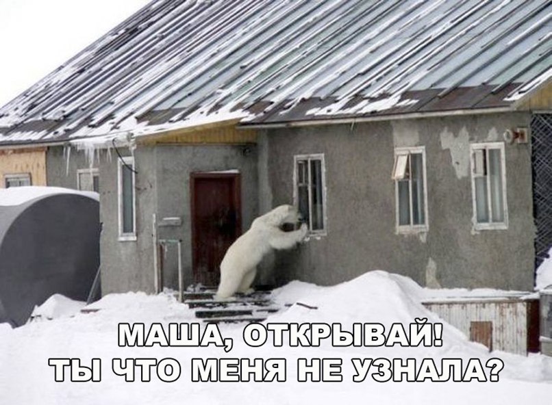    :D - 10  2018  03:40