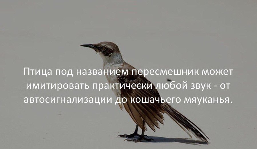   :    - 11  2018  03:45