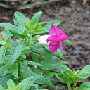  , , 60  -  28  2018     , 2018,  