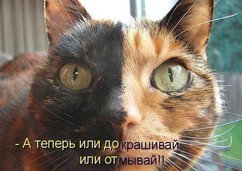  -  - 18  2018  03:54
