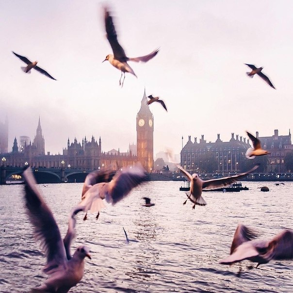 London - 4