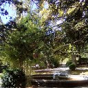 ���� ��������, �����������, 49 ��� - ��������� 11 ������� 2017 � ������ ���ʻ