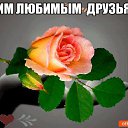 ���� �������, ���������, 62 ���� - ��������� 1 ������� 2018 � ������ ���� ����������