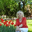 ���� ����, �������� - ��������� 8 ���� 2018 � ������ ���� ����������