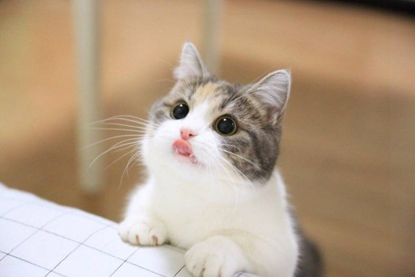  :